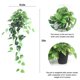 thumbnail image 3 of Set de 2 plantas colgantes Pothos artificiales con macetas, color verde dorado, 3 of 9