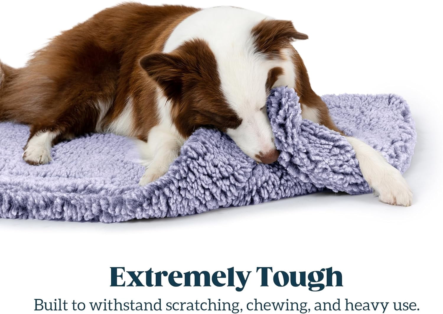 PELZIN Stoutwool Indestructible Dog Bed - Fluffy Chew Proof Dog Crate Pad - Tough Kennel Pad for Aggressive Chewers - Washable, Ideal for Large Breeds & Fits 42-Inch Crate - 41"x27", Jacaranda