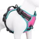 thumbnail image 1 of Chaleco ajustable reflectante mejorado para perros PHOEPET 2019, 1 of 7