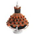 thumbnail image 2 of Generic Kids Girl Halloween Outfit Pumpkin Cat Short Sleeve Tulle Halloween Dress Autumn Winter Clothes for Holiday Party Halloween Christmas（3-4 Years Orange）, 2 of 9