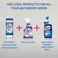 Lysol Mold & Mildew Blaster w. Bleach, Bathroom Cleaner Spray, 28oz