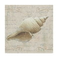 thumbnail image 1 of Trademark Fine Art 'Coastal Beauty III' Canvas Art by Lisa Audit, 1 of 3