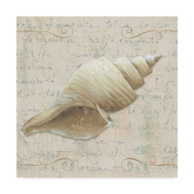 Trademark Fine Art 'Coastal Beauty III' Canvas Art by Lisa Audit