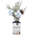 thumbnail image 1 of 1 Juego de flores secas, jarrón decorativo de cristal transparente para jardín de primavera Flor de cinta azul, 1 of 8