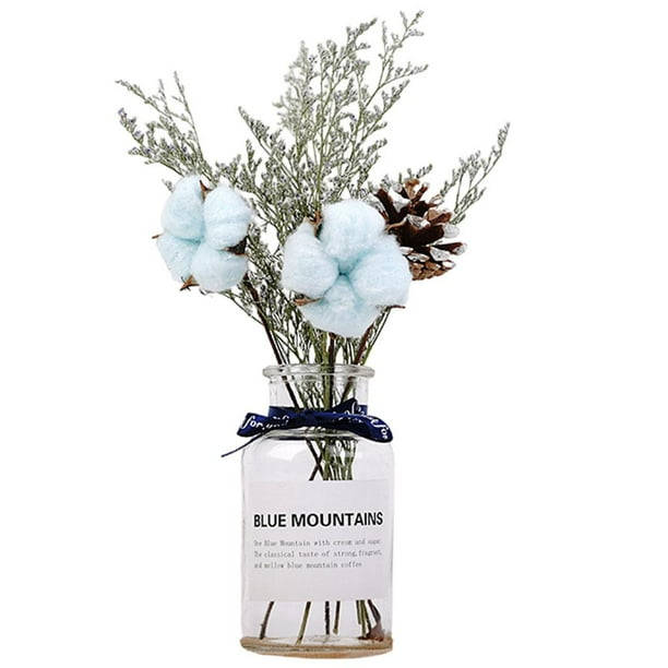 1 juego de flores de hierba, planta seca natural real con decoración de ramo de flores para Flor de cinta azul