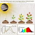 thumbnail image 3 of Luz de cultivo LED de espectro completo bseah, 10 niveles de atenuación y temporizador, 3 of 6