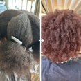 thumbnail image 2 of Bleach London Natural Brown Permanent Kit, 2 of 6