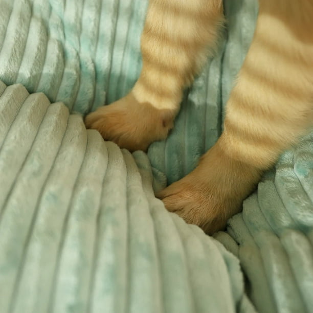 Big Dog Mat Corduroy Pad for Medium Large Dogs Oversize Pet Sleeping Bed Big Thicken Dog Sofa Removable Washable Pet Supplies ShopWise Round