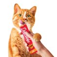 thumbnail image 5 of Delectables Chicken, Tuna & Shrimp Squeeze Up™ Wet Cat Treats 20 Pack, 5 of 5