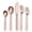 C. 20 Pieces Rose Gold, variant on 20 Piece Titanium Black And Golden Plated Stainless Steel Flatware Set, Handle With Mouth Silverware Set And Cutlery Set Service for 4 (Shiny Black,Shiny Golden)