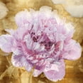 thumbnail image 3 of Sullivan, Shawna 12x12 Black Modern Framed Museum Art Print Titled - Solo Pink on Gold I, 3 of 5