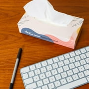Soft 2-Ply Facial Tissue, White, 100-Count Box, Gentle and Durable (3,000 Tissues, Bulk Pack of 30-Boxes)