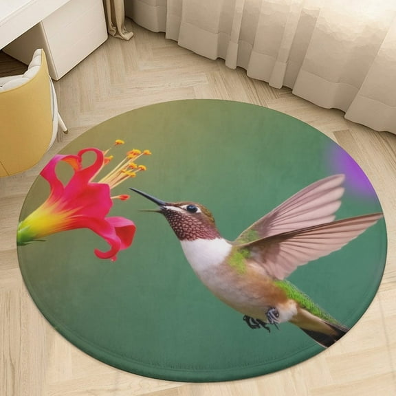 Hummingbird Feeding Blossom Round Area Rugs for Bedroom Living Room, 4FT Soft Comfy Indoor Circle Carpets, Floor Mat