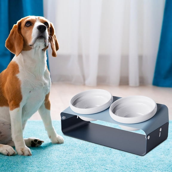 Cat Dog Bowl Raised Waterer Pet Food Feeder for Cats Small Medium Dogs Puppy Blue