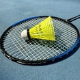 thumbnail image 5 of 12-Pack Plastic Badminton Shuttlecocks,Bexikou Nylon Feather Shuttlecocks with Great Stability and Durability,Hight Speed Training Badminton Balls for Indoor Outdoor Sports, 5 of 5