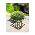 thumbnail image 4 of Elegant Plant Stand - 14.5" Black Gold Metal & Granite Top - Indoor Outdoor Decor, 4 of 4