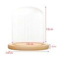 thumbnail image 3 of Vitrina decorativa de cristal con forma de campana y base rústica de madera con LED y 12x12cm, 3 of 9