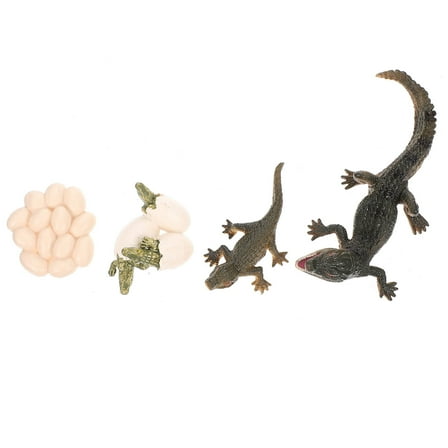 ifundom 1 Set Crocodile Life Cycle Figure Animal Life Cycle Figure Early Education Prop