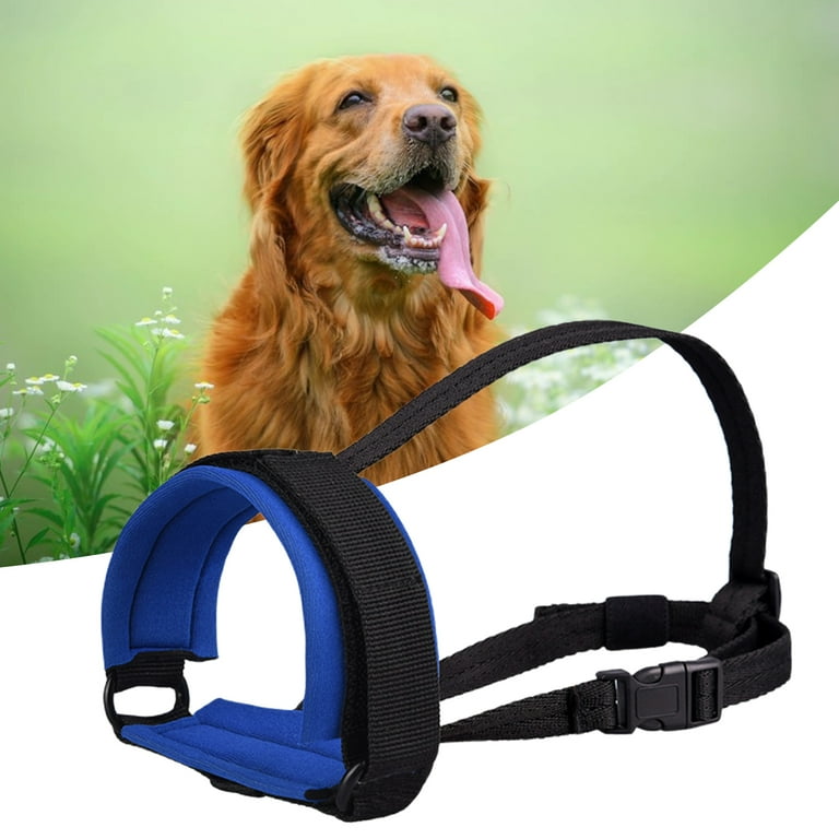 Dog clearance mouth strap