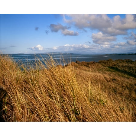 Columbia River from Clatsop Spit Fort Stevens State Park Oregon USA Poster Print by Panoramic