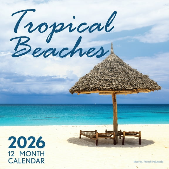 EcoEarth 18 Month Vertical Wall Calendar, Tropical Beaches, 11" x 22", Jul 2025-Dec 2026