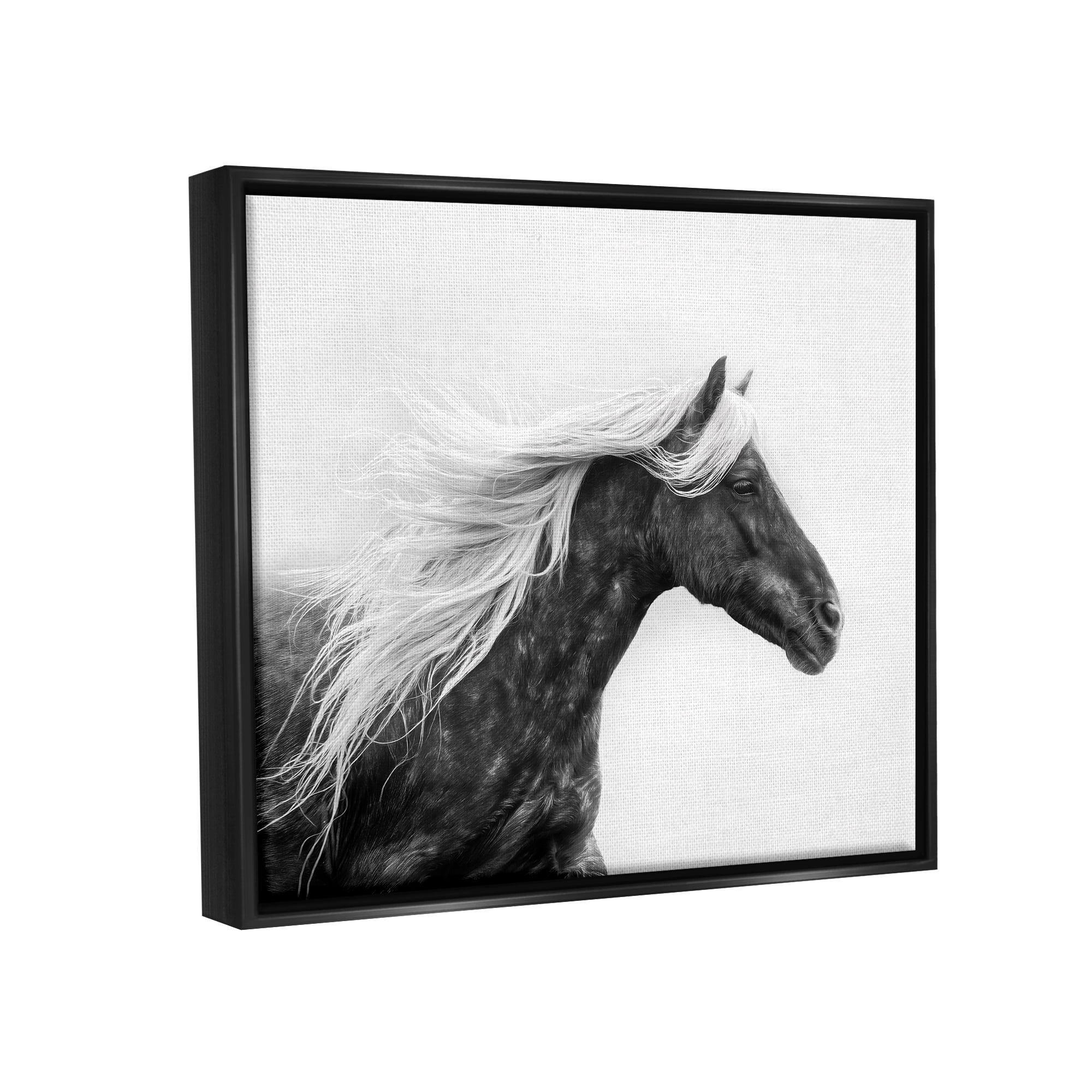 Stupell Industries Horse with White Mane Animals & Insects Photography Black Floater Framed Canvas Art Print Wall Art, 31 x 25