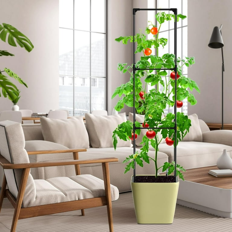 Raised Garden Bed Planter Box with Trellis, Self Watering Plant Pot with  Tomato Cage and Water Level Monitor for Climbing Vegetables, Plant Pots for  ...