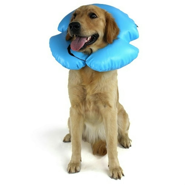 Inflatable collar walmart Clearance