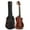 Fretless, variant on Batking Ubass Electric Ukulele Bass, 30-Inch Baritone Acoustic-Electric Bass Ukulele with Gig Bag