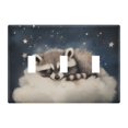 thumbnail image 2 of Dailycode Light Switch Plate Covers 2 Gang Wall Plate Plastics Outlet Covers for Kitchen Home Office Decor Raccoon on Clould, 2 of 8