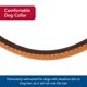 thumbnail image 3 of Collar para perro Coastal Circle T, piel curtida, color roble, 1,6 x 41 cm, 3 of 7