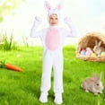 thumbnail image 2 of ANINEO Child Kids Adorable Bunny Animal For Boys Toddler Outfit Soft Rabbit Outfits Stage Performance Party Wear Lovely Long Sleeve O-Neck Clothes Sets, 2 of 5