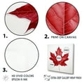 thumbnail image 3 of Designart "Simplicity In Scarlet Maple Leaf I" Leaves Canvas Prints, 3 of 7