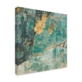 thumbnail image 2 of Trademark Fine Art 'Teal Lace I' Canvas Art by Jennifer Goldberger, 2 of 4