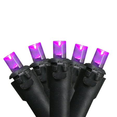 Brite Star 50ct Micro Mini LED Halloween Light Set Black Wire  - 17' Purple