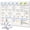 Weekly Planner, variant on Quokka Magnetic Behavior Chore Chart for Multiple Kids, Multicolor 17x13 - Dry Erase Wall Chart 2 Set