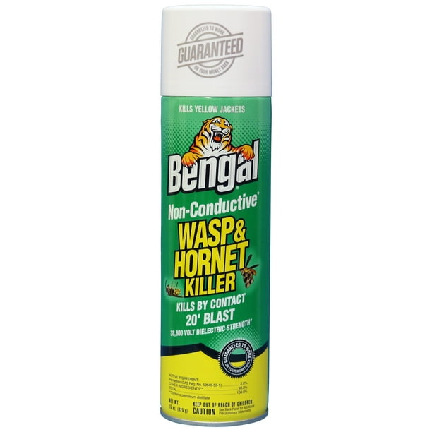 Bengal NonConductive Wasp and Killer, Aerosol Yellow Jacket