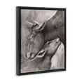 thumbnail image 4 of Stupell Industries Mother Cow & Calf Animals Drawing Black Floater Framed Canvas Art Print Wall Art, 25 x 31, 4 of 10