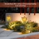 thumbnail image 4 of Lámparas solares LED Flor de jardín Abanopi Luz solar para césped, 4 of 7