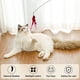 thumbnail image 3 of Juguete de repuesto para gato con gusanos para rascar, 3 of 5