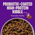 thumbnail image 6 of Wellness CORE Dry Dog Food, Small Breed, Grain Free, High Protein, Natural, Original Turkey & Chicken Recipe, (4-Pound Bag), 6 of 9