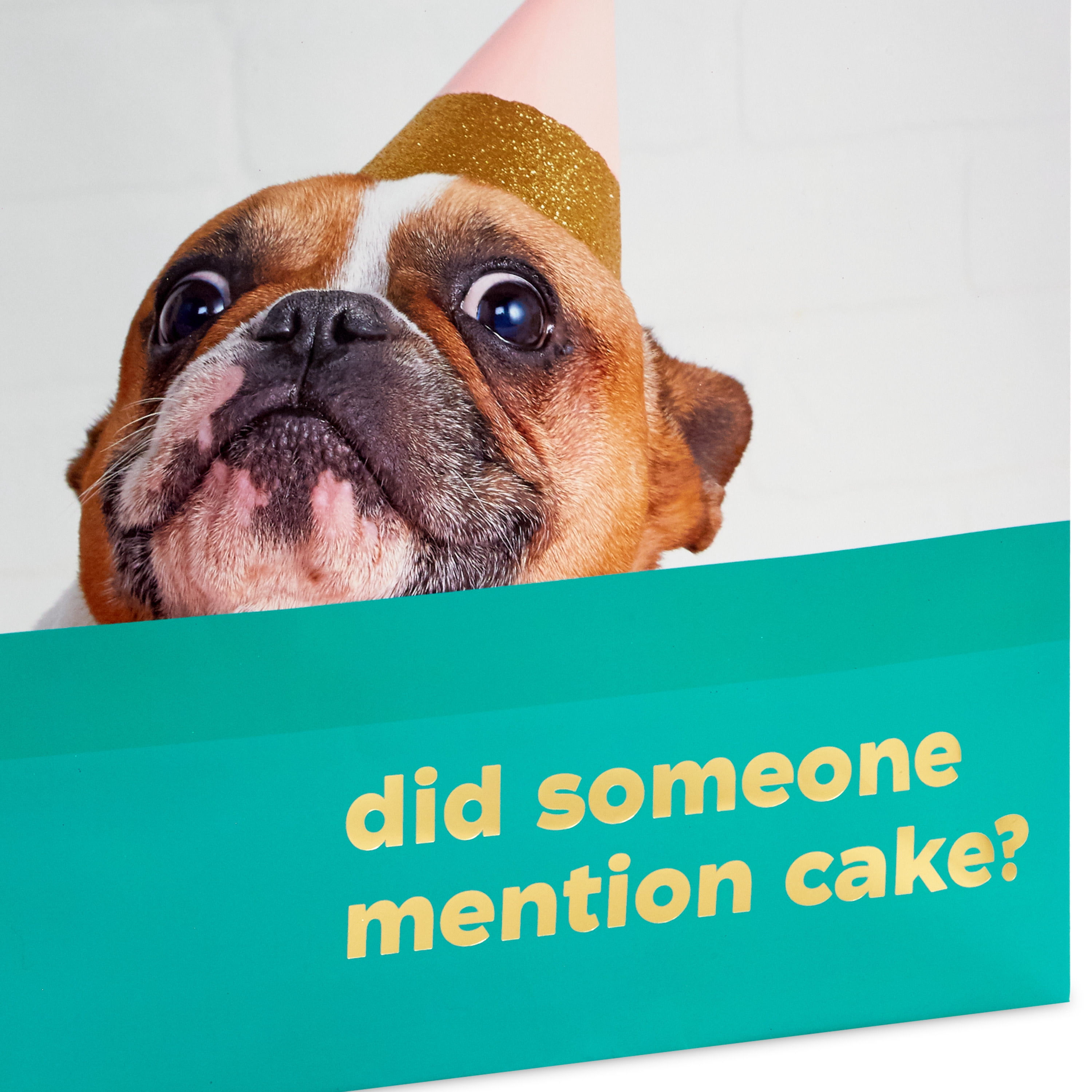 Hallmark Extra-Deep Green Birthday Gift Bag (Cute Dog in Party Hat)