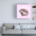 thumbnail image 3 of Trademark Fine Art Artem Pozdniakov Curvy Hedgehog Canvas Wall Art, 3 of 4