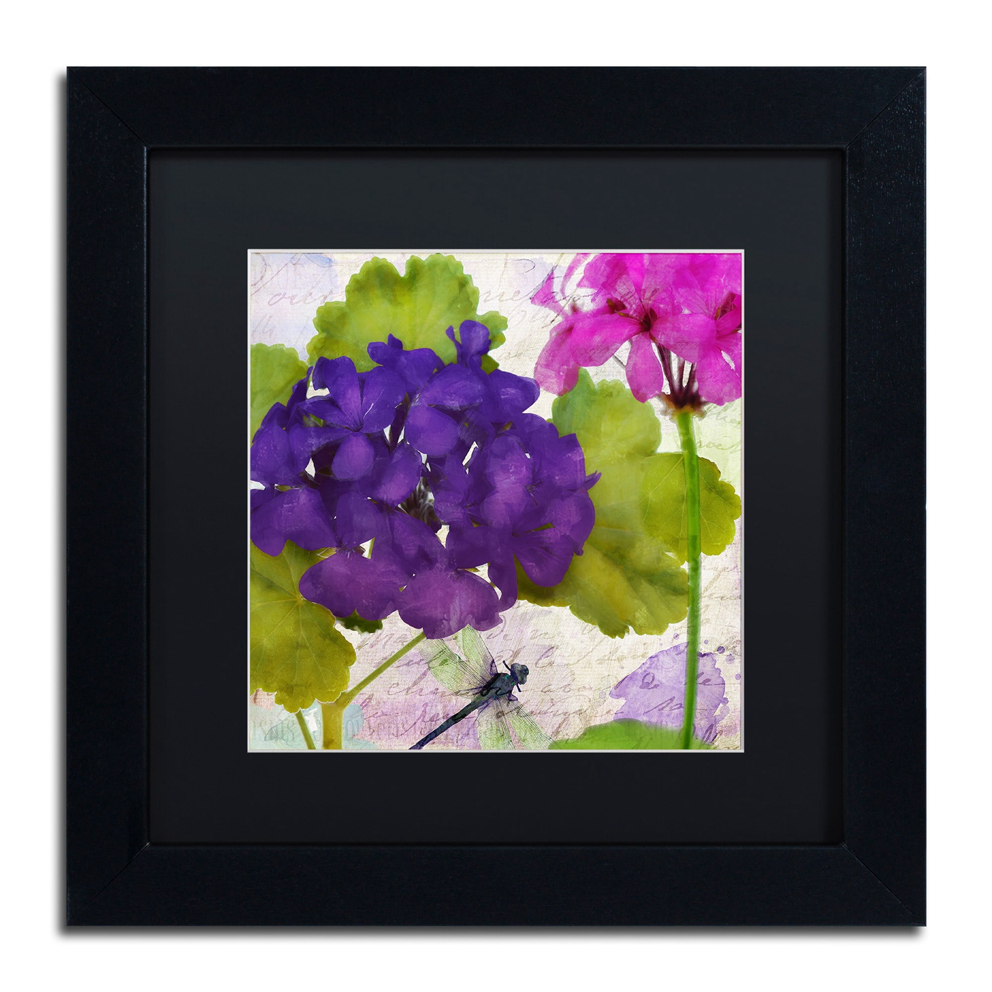 Trademark Fine Art "Gaia I" Canvas Art by Color Bakery, Black Matte, Black Frame