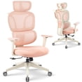 thumbnail image 1 of MotionGrey Mellow Ergonomic Office Chair-Comfy High Mesh Back Support with Adjustable Armrests - Desk Computer Chairs Perfect for Home Gaming and Offices - Pink, 1 of 12