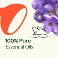 thumbnail image 5 of Plant Therapy Sensual Essential Oil Blend for Couples, Massage, Desire 100% Pure, Undiluted, Natural Aromatherapy, Therapeutic Grade 10 mL (1/3 oz), 5 of 8