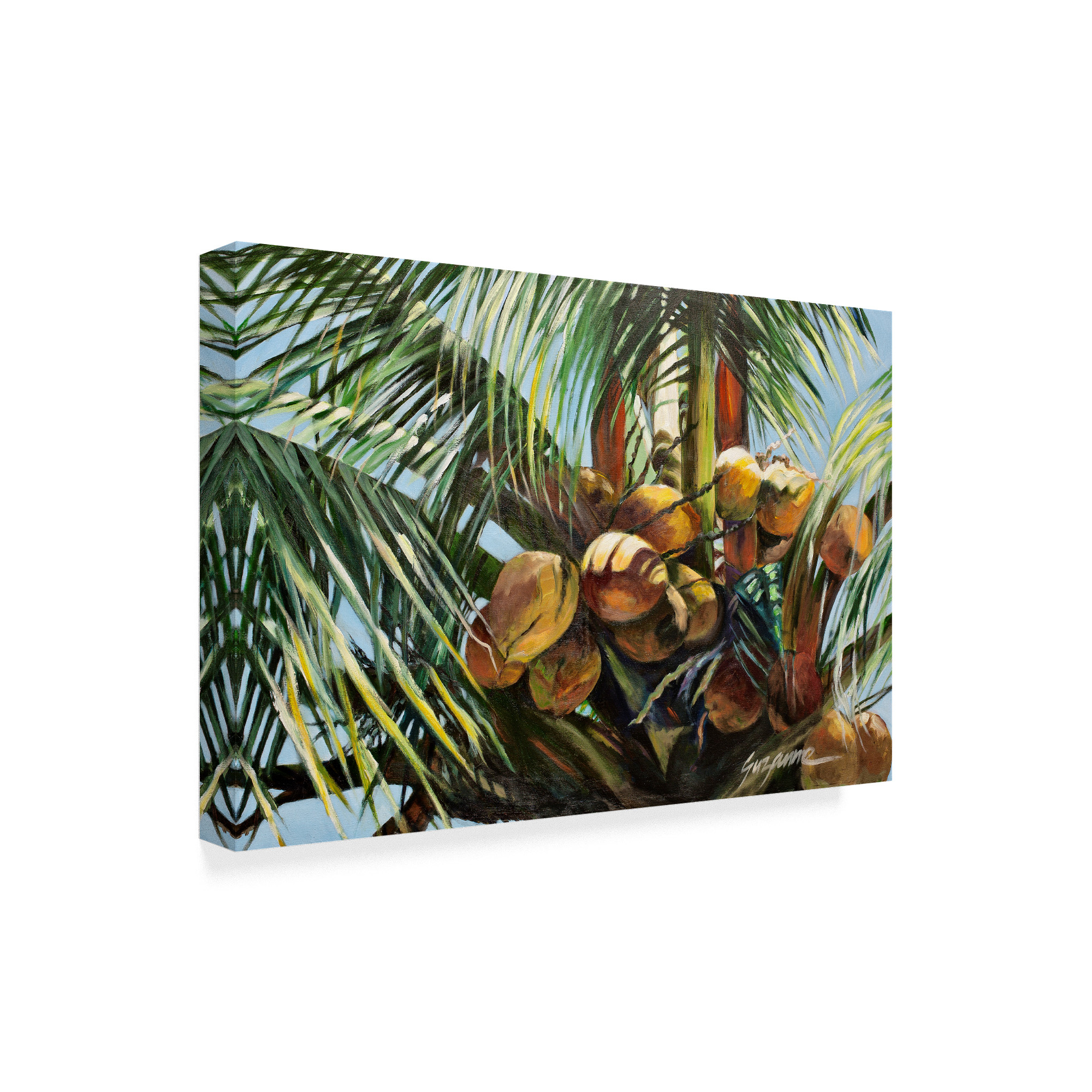 Trademark Fine Art 'Los Cocos' Canvas Art by Suzanne Wilkins