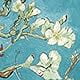 Blossom