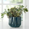 thumbnail image 3 of Better Homes & Gardens Pottery 5" Devi Round Ceramic Planter, Blue, 3 of 9