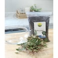 thumbnail image 4 of Rose of Jericho Potting Soil Mix (4 Quarts), Ideal for Transplanting Resurrection Plants, 4 of 7